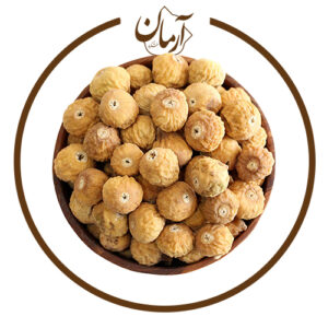 انجیر ریز - خشکبار آرمان